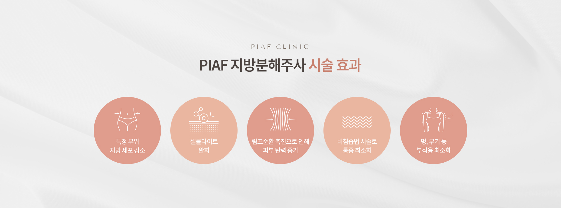 지방분해주사 상세03