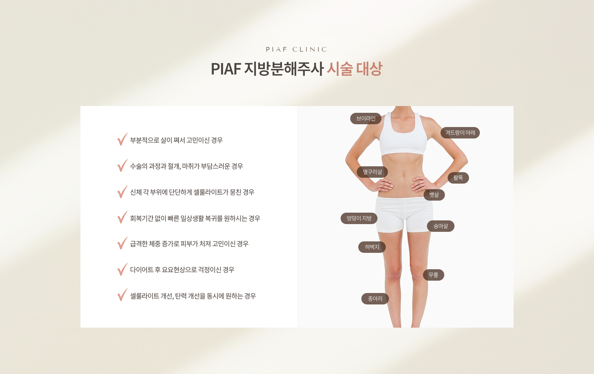 지방분해주사 상세06